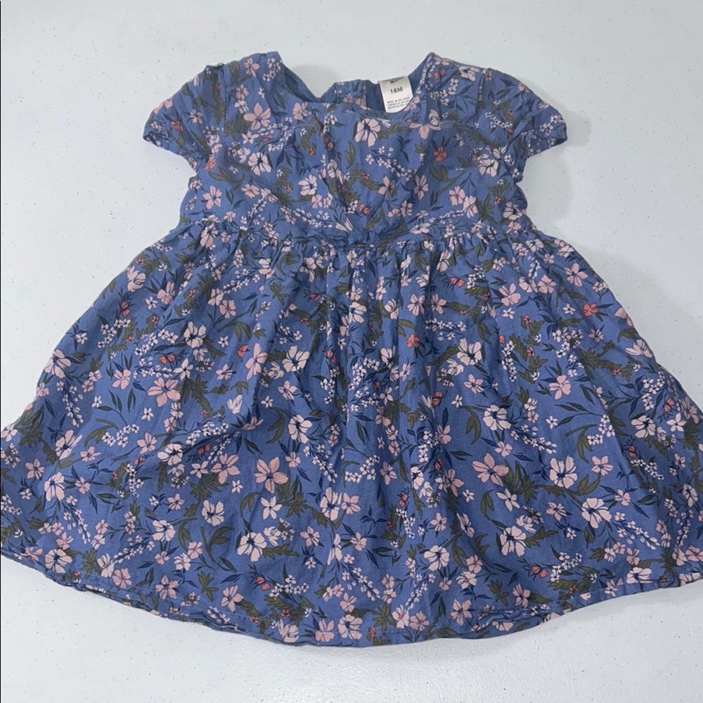 OshKosh Baby Girl Floral Blue Spring Summer Dress 18 Months
